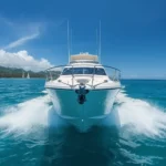 Lancha Triton: Conheça a Marca e os Modelos à Venda
